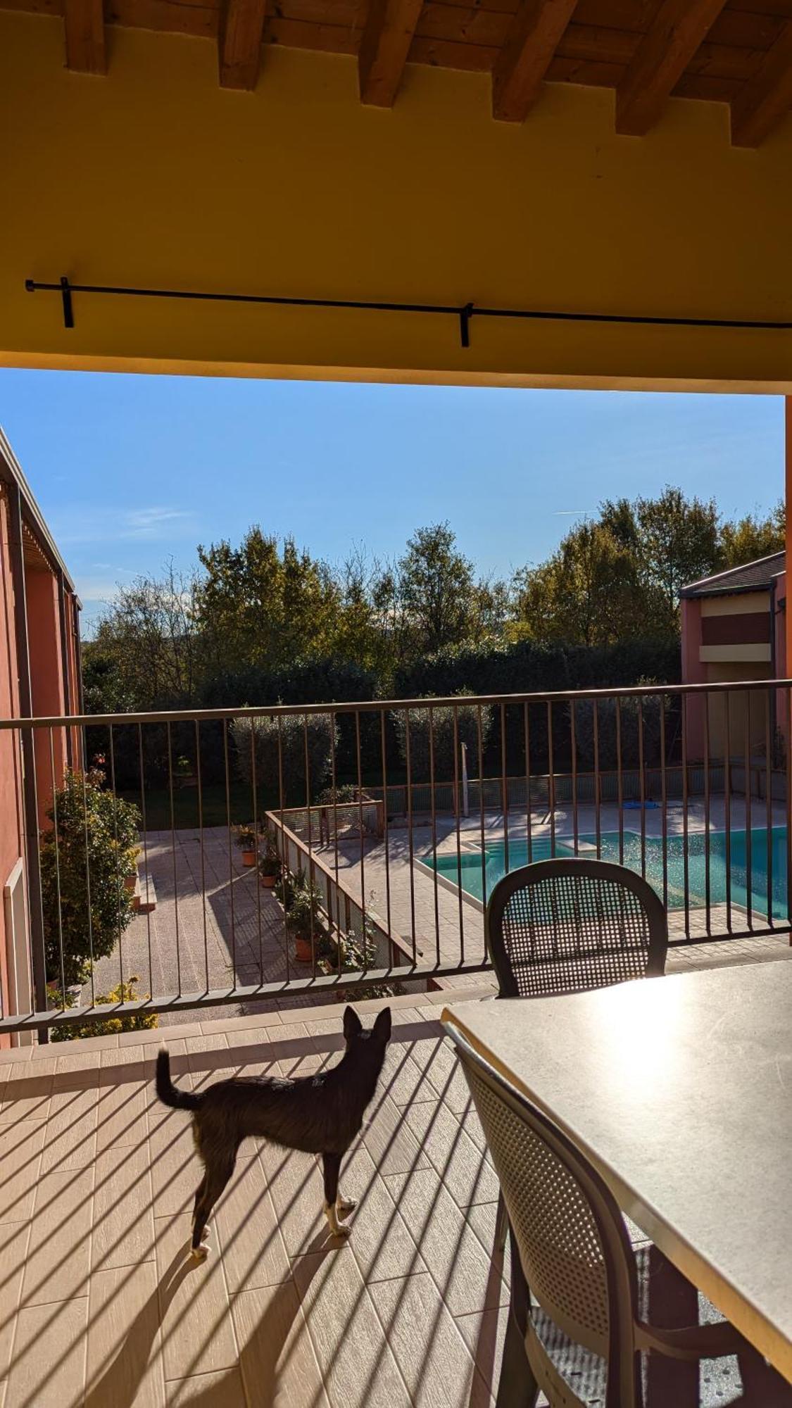 פונטי סול מינצ'יו Agriturismo Ai Tre Fienili מראה חיצוני תמונה